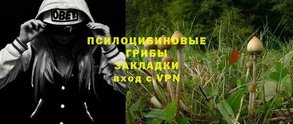 круглые Рославль