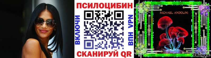 Псилоцибиновые грибы мицелий цены mega вход Стародуб